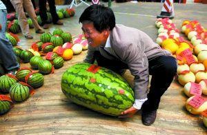 吃瓜网每日大赛最新入口,揭秘最新入口，精彩赛事不容错过！