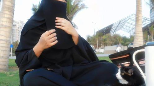 娱乐吃瓜君被网暴,网络素养亟待提升